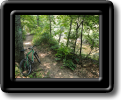 LCP_NatureTrail_along_Reedy_River_sized